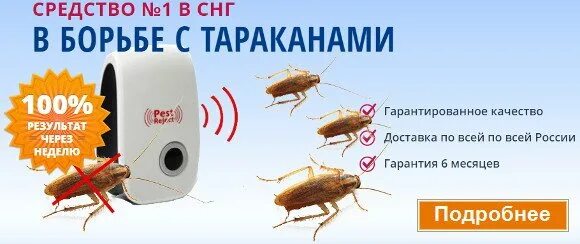Избавиться от тараканов в квартире навсегда. Способы избавления от тараканов. избавление от тараканов в квартире. как избавиться от тараканов в квартире навсегда. как избавиться от тараканов в квартире раз и навсегда.