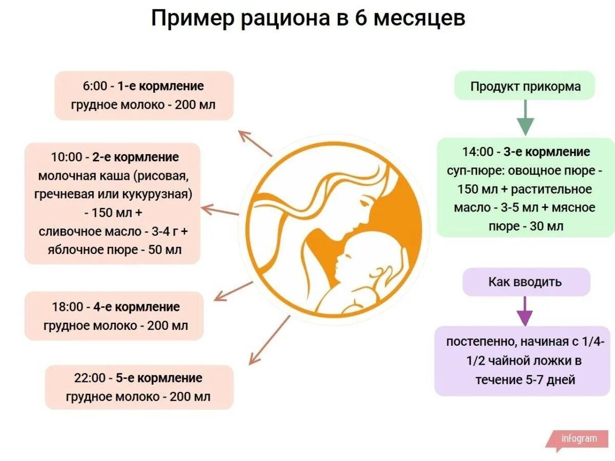 Рацион питания 6 месячного ребенка на грудном вскармливании. Рацион малыша в 6 месяцев на гв. Рацион питания ребёнка в 6 месяцев на искусственном. Рацион кормления 6 месячного ребенка.