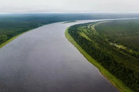 Устье реки печора