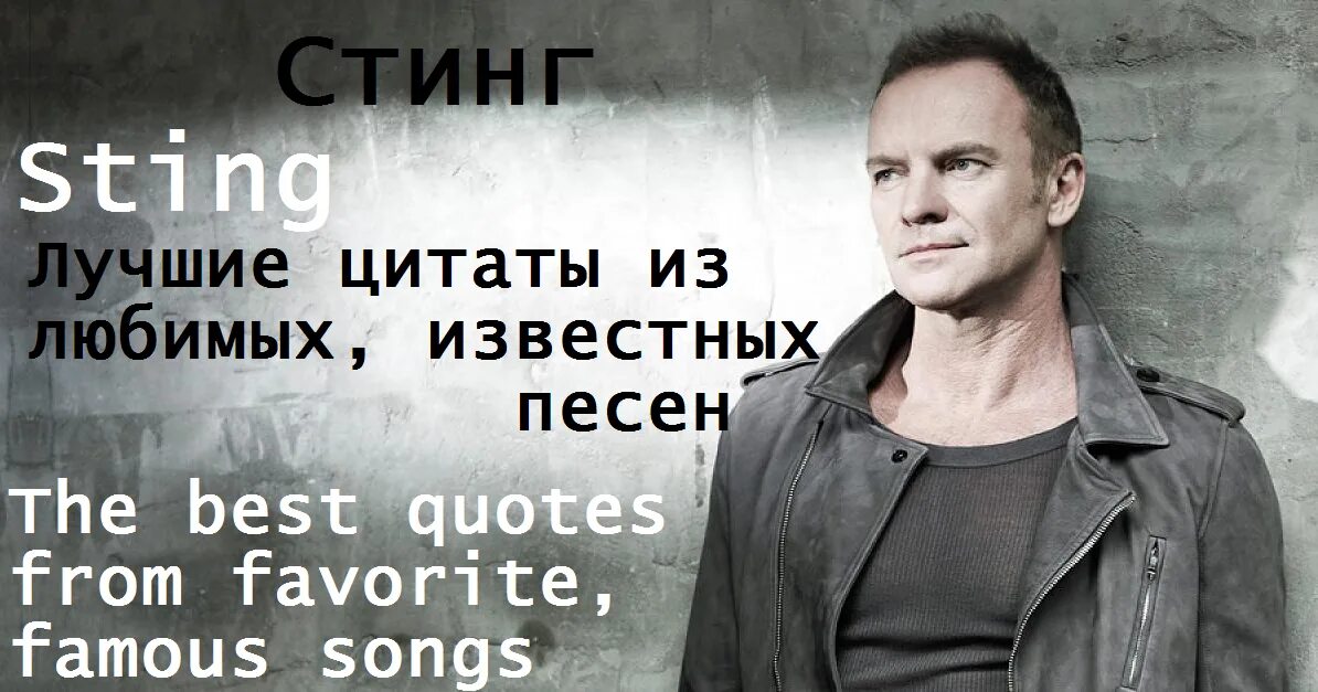 По стингу текст. Sting цитаты. Цитаты Стинга. Стинг интересные факты. Стинг английскому.