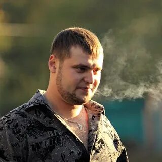 Работа чаплыгин