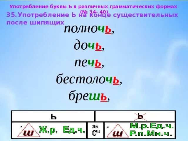 Употребление ь на конце существительных. Употребление на конце существительных после шипящих. Ь на конце сущ после шипящих. Мягкий знак после шипящих на конце существительных. Употребление мягкого знака на конце слова