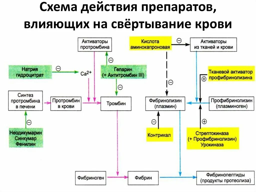 Свертывание крови печень. Схема свертывания крови. Схема свертывания крови физиология. C[TVF cdtnsdfybz rhjdb c fynbrjfuekznyfvb. Лекарственные препараты факторов свертывания крови.