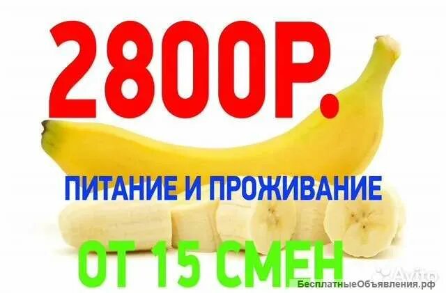 Подольск работа с питанием проживанием