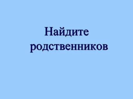 Ищу родных