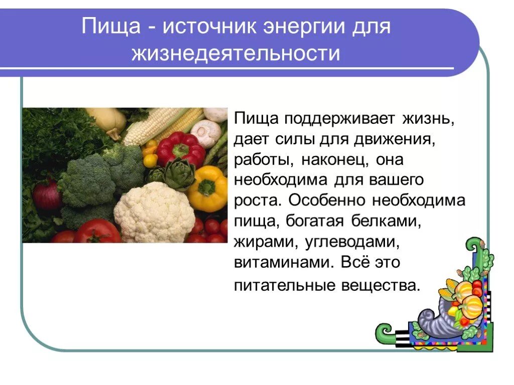 Источником энергии для жизни организмов является. Пища источник энергии. Еда источник энергии для организма. Еда как источник энергии. Энергия источника питания.