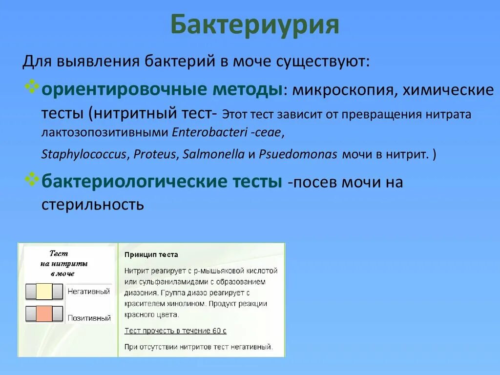 Бактериурия характерна для. Бактериурия в моче норма. Бактериурия показатели в моче. Бактериурия выявляется исследованием мочи.