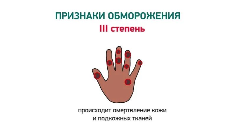 Выберите два признака обморожения ответ на тест