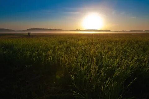 Заалеть