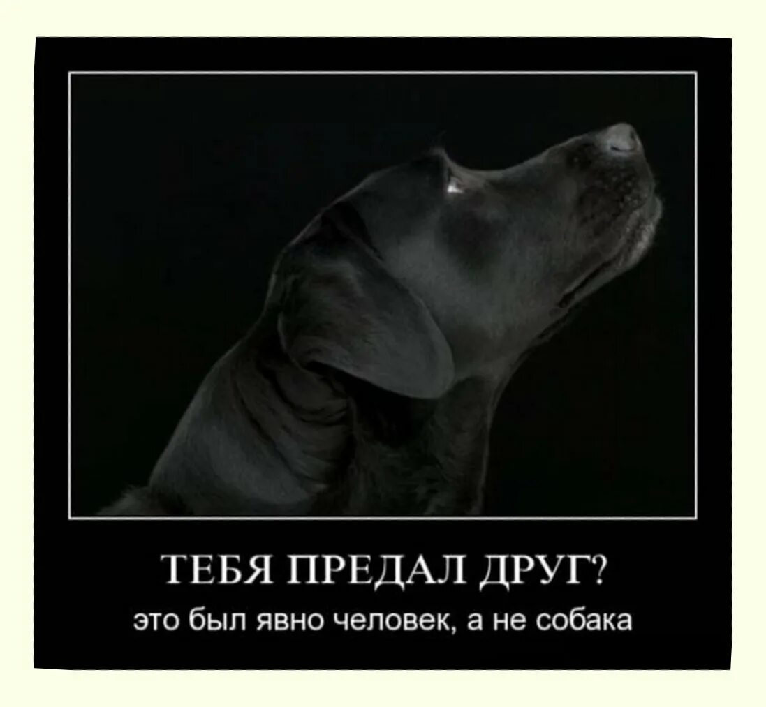 Зависящий ненавидит