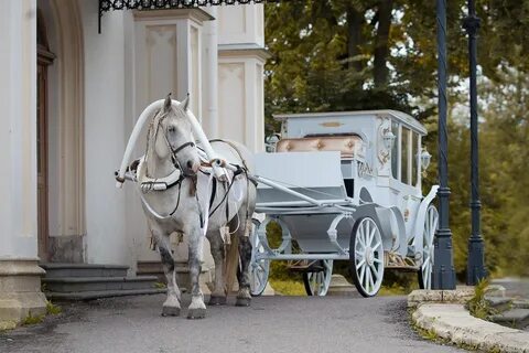 Едет белая карета колокольцами звеня