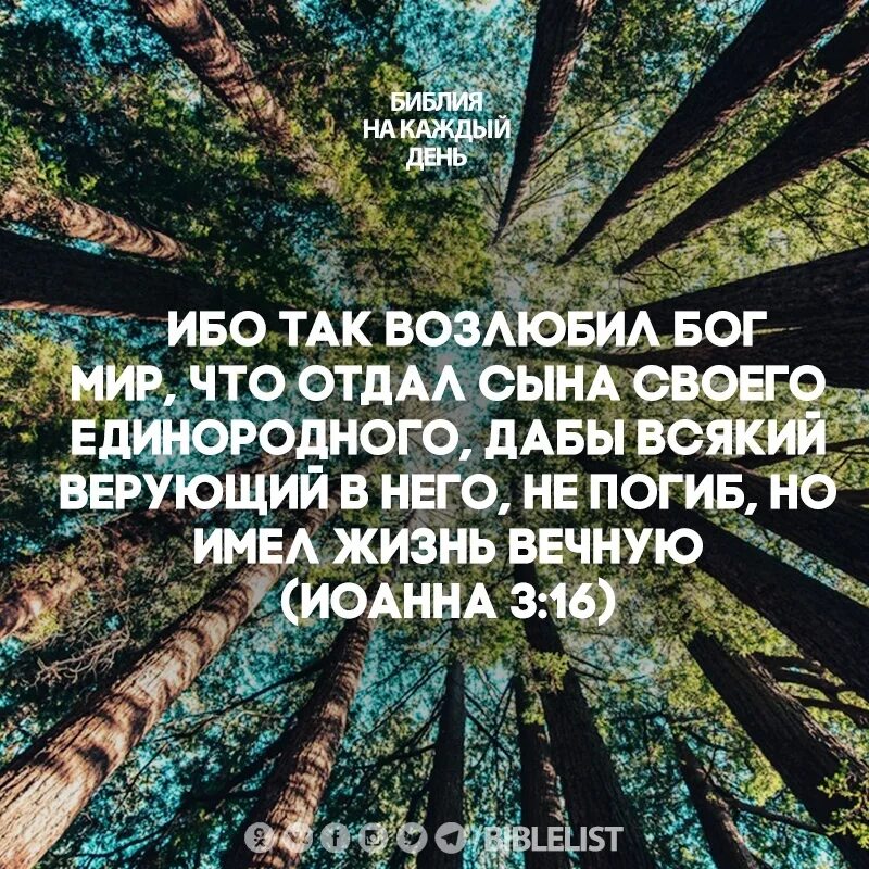 Ибо так возлюбил мир. Ибо так возлюбил Бог мир. И так возлюбил Бог мир что отдал сына своего Единородного. Ибо так возлюбил Бог мир Библия. Библия ибо так возлюбил Бог мир что отдал сына своего Единородного.