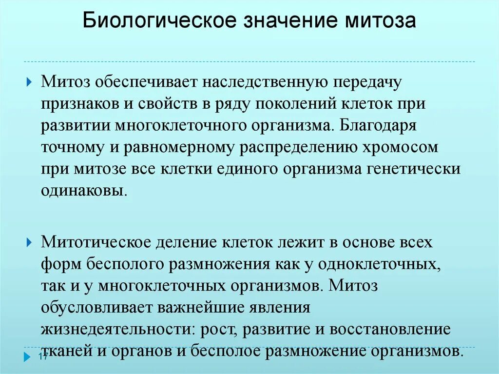Какое значение митоза. Биологическое значение митоза. значение митоза. биологическое значение а итоза. значение митоза заключается в.