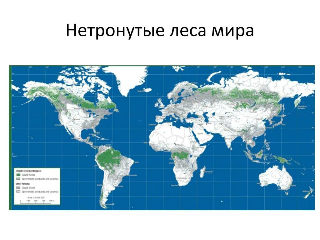 Тест территория мир