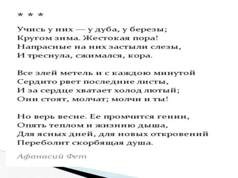 Спроси у них у дуба у березы Фет. Фет учись у них. Чтение стихотворений Алексея Алексейченко. Анализ стихотворения учись у них фет