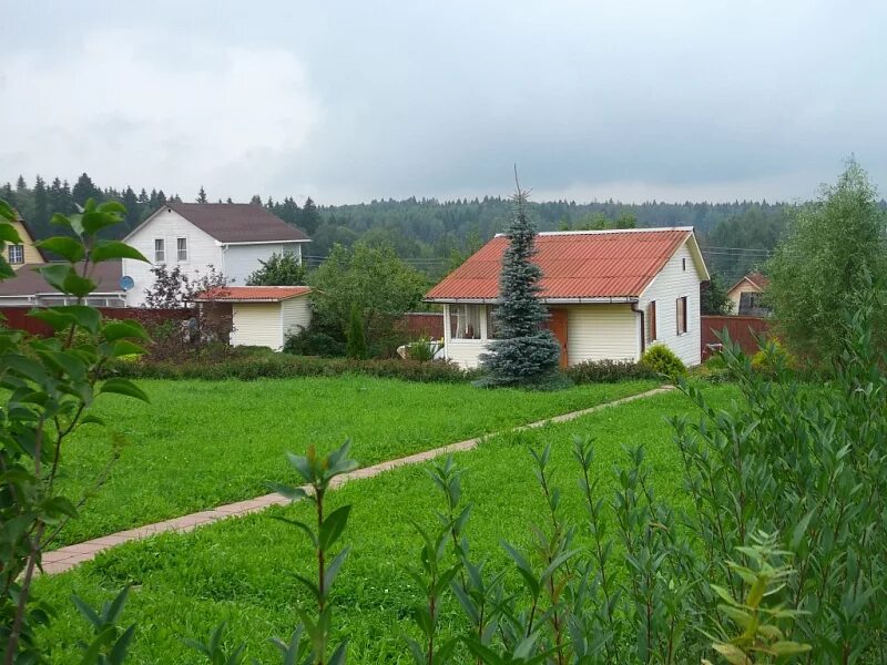 снт 50 лет победы вельево. артамонова наталья снт 50 лет победы. снт 50 лет победы вельево солнечногорский район. митяево военный городок. снт 50 лет победы митяево.