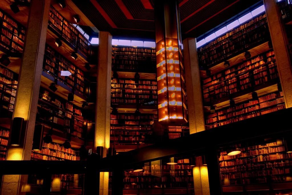 Музей-библиотека детских иллюстрированных книг в иваки (япония). Different kinds of books. Libreria. Библиотека фишера (fisher library) в сиднейском университете. Books in my city.