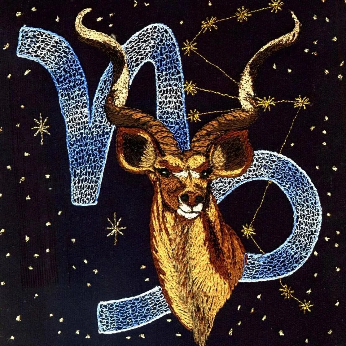 Козерог животное гороскоп. Знаки зодиака. козерог. козерог знак зодиака символ. козерог красивый. изображение козерога знак зодиака.