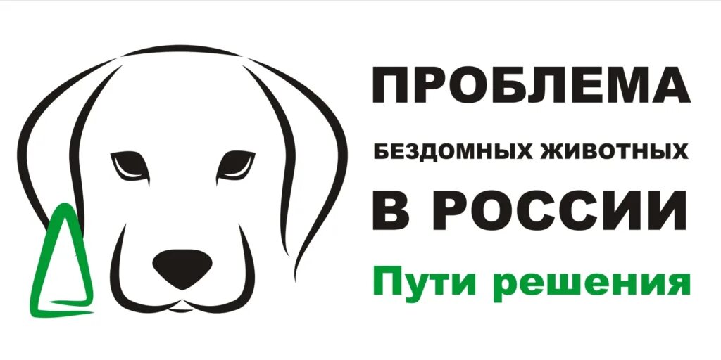 Как решить проблему с бездомными