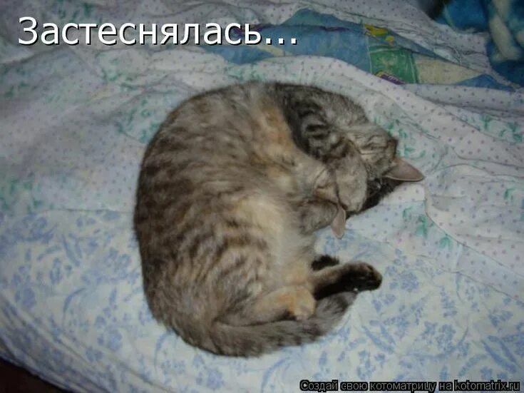 Смайлик я смущаюсь. Открытки стесняюсь. Смущенная девушка. Застеснялась. Кот смущение.