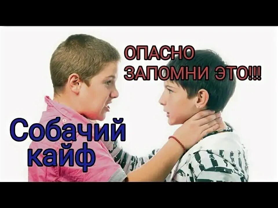 Собачий кайф что это такое. Собачий кайф. Как делать собачий кайф.