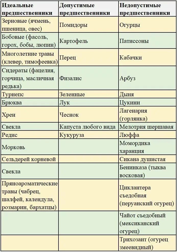 Что посадить после кабачков на следующий. Что сажать после тыквы на следующий год. после чего сажать помидоры. что после чего садить. предшественники помидоров в открытом грунте.