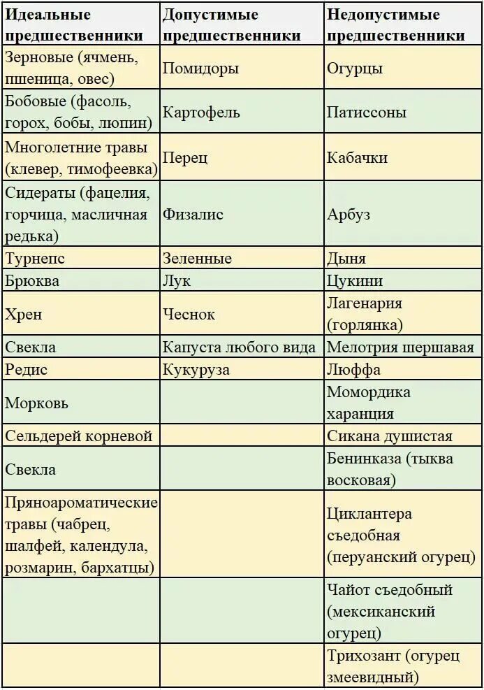 Что сажать после тыквы на следующий год. После чего сажать помидоры. Что после чего садить. Предшественники помидоров в открытом грунте.