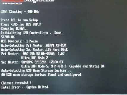 System halted