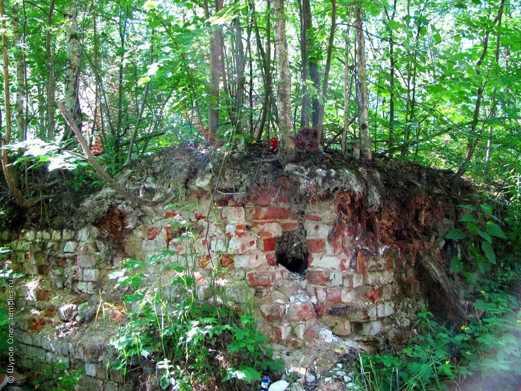 деревня васютино. орловская область деревня васютино. орловская область деревня васютино. орловская обл. васютино электрогорск церковь.