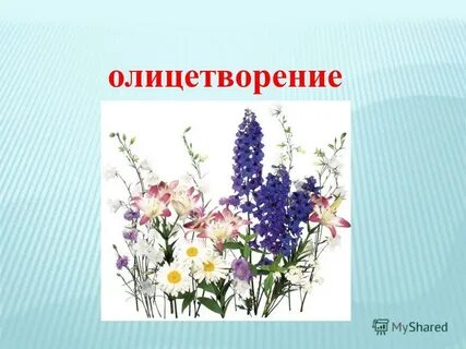 Олицетворение цветов
