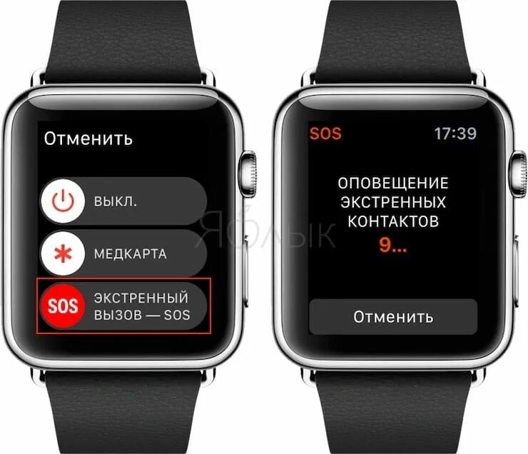 Эппл вотч какие функции. Эппл вотч функции. эпл вотч функция сос. функции эпл вотч 8. рав вотч.