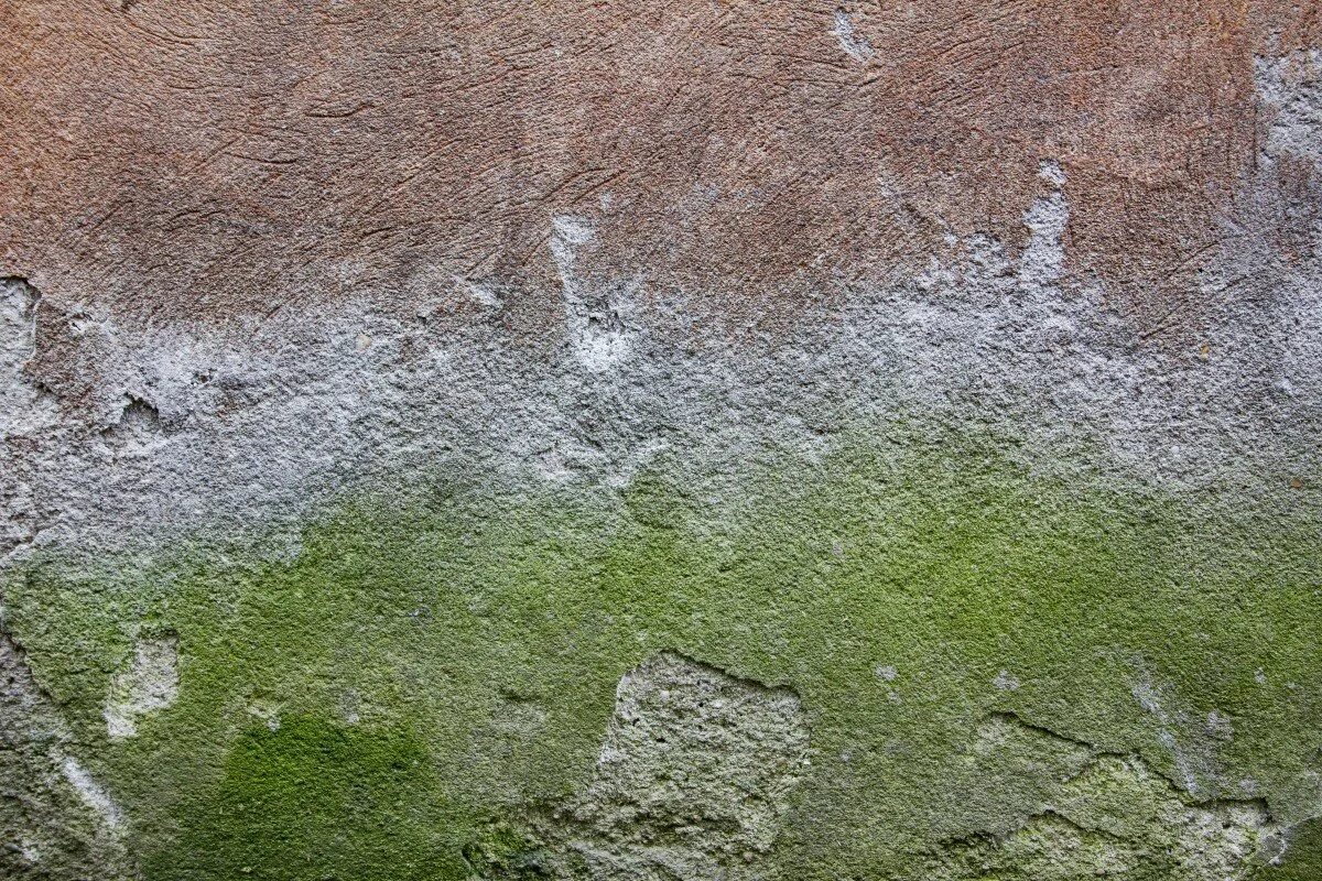 Бетонно зеленый. Мох на бетоне. Бетон фактура. Текстура стены. Ржавчина на бетоне.