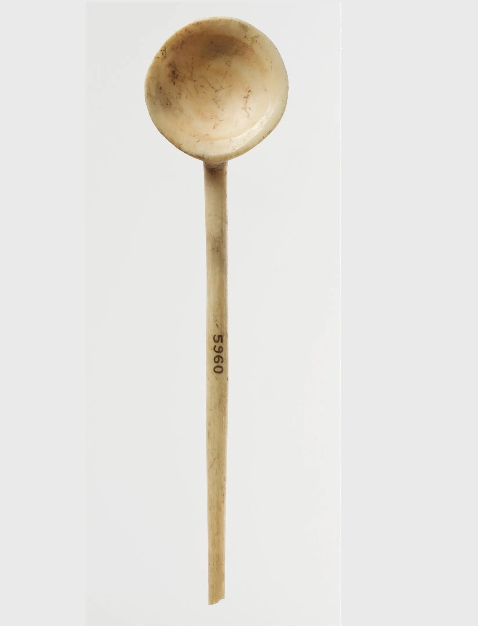 Костяная ложка. Костяная ложка торчала довольно. Острая костная ложка фолькмана. Ложка из бирки. Костная ложка.