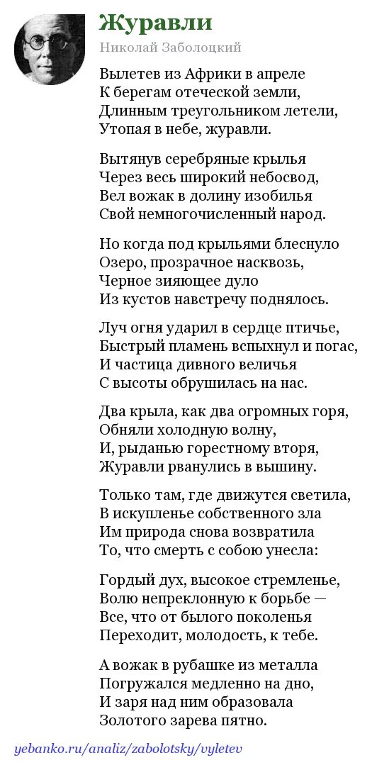 Анализ стихотворения журавли 5 класс. Заболотский Журавли стих. Журавли стих н.Заболоцкий. Стих Журавли вылетев из Африки.