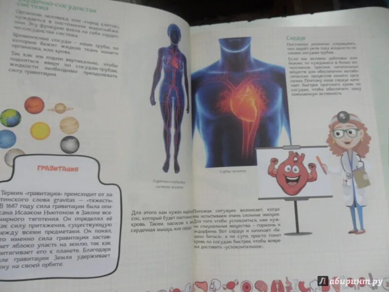 Как устроен человек книга для детей. Почему как устроен человек. Страница из книжки как устроен человек. Почему как устроен человек. Человек устроен.