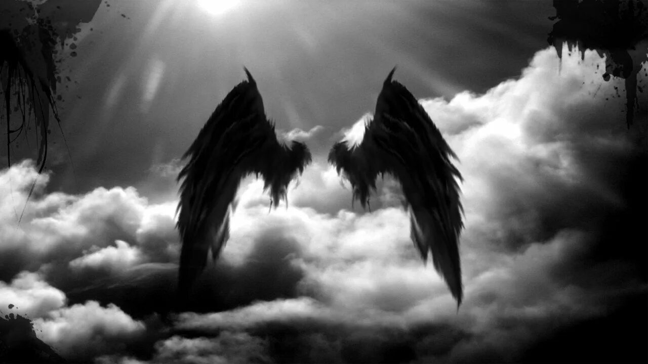 Птицы ночью летают. Грустный ангел фото. Крылья тёмного ангела. Фея ночи. Обои ангел.