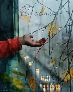 Снова осень и дождь в окно