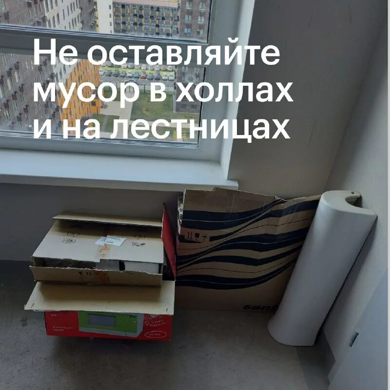 Выброшенные щенки в коробке. Загадка в какой коробке машина. Смешные коты в коробках. Коробка с котиком. Подарок коробка с пожеланиями.