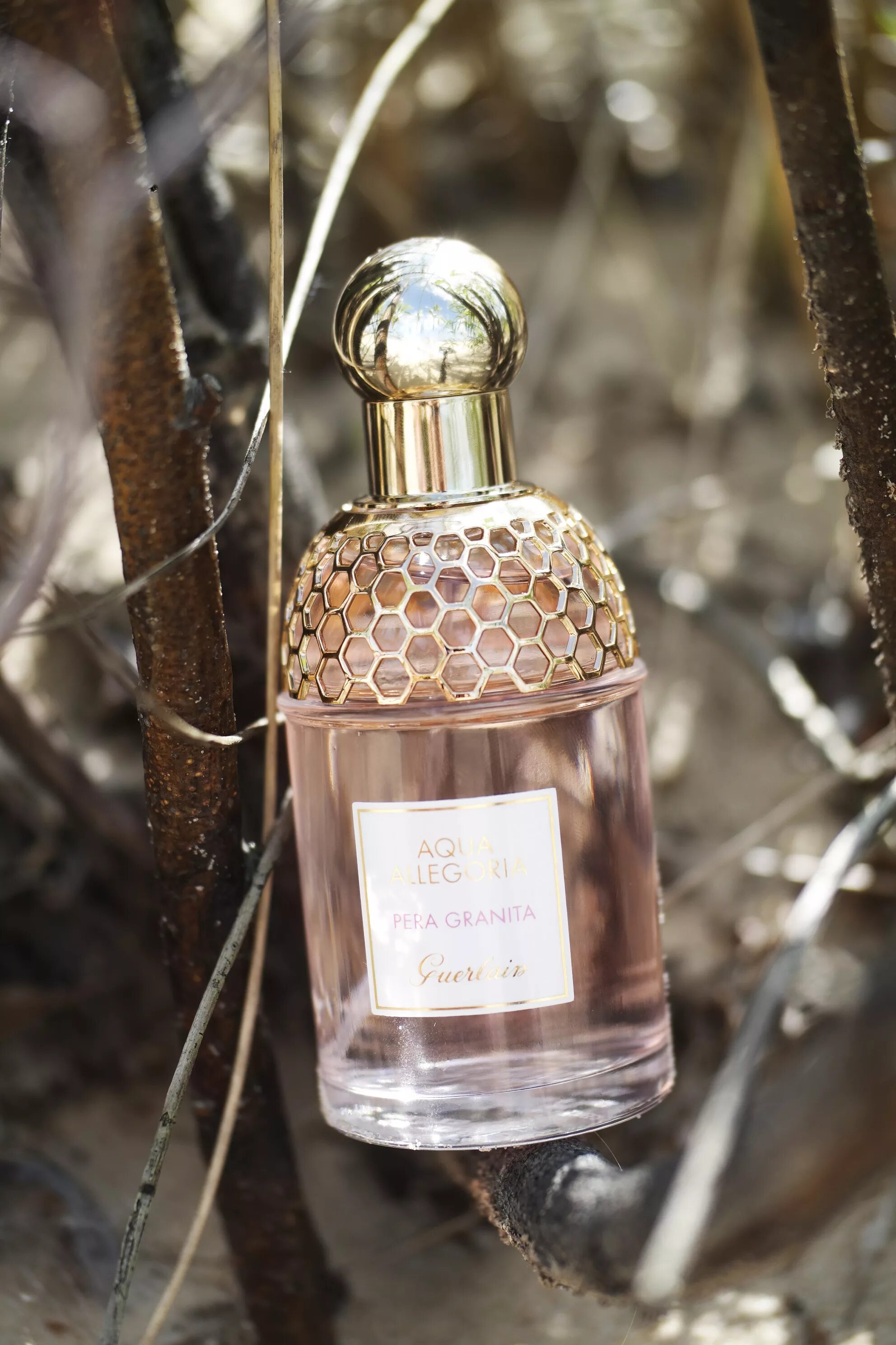 Guerlain aqua allegoria pera