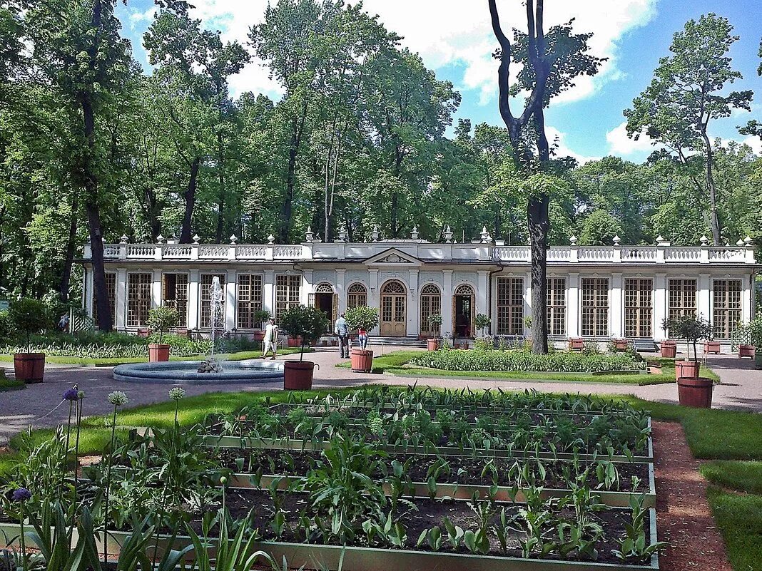 огород летнего сада. оранжерея петра 1 в петергофе. летний сад огород петра 1. огород летнего сада. оранжерея в летнем саду в санкт-петербурге при петре 1.