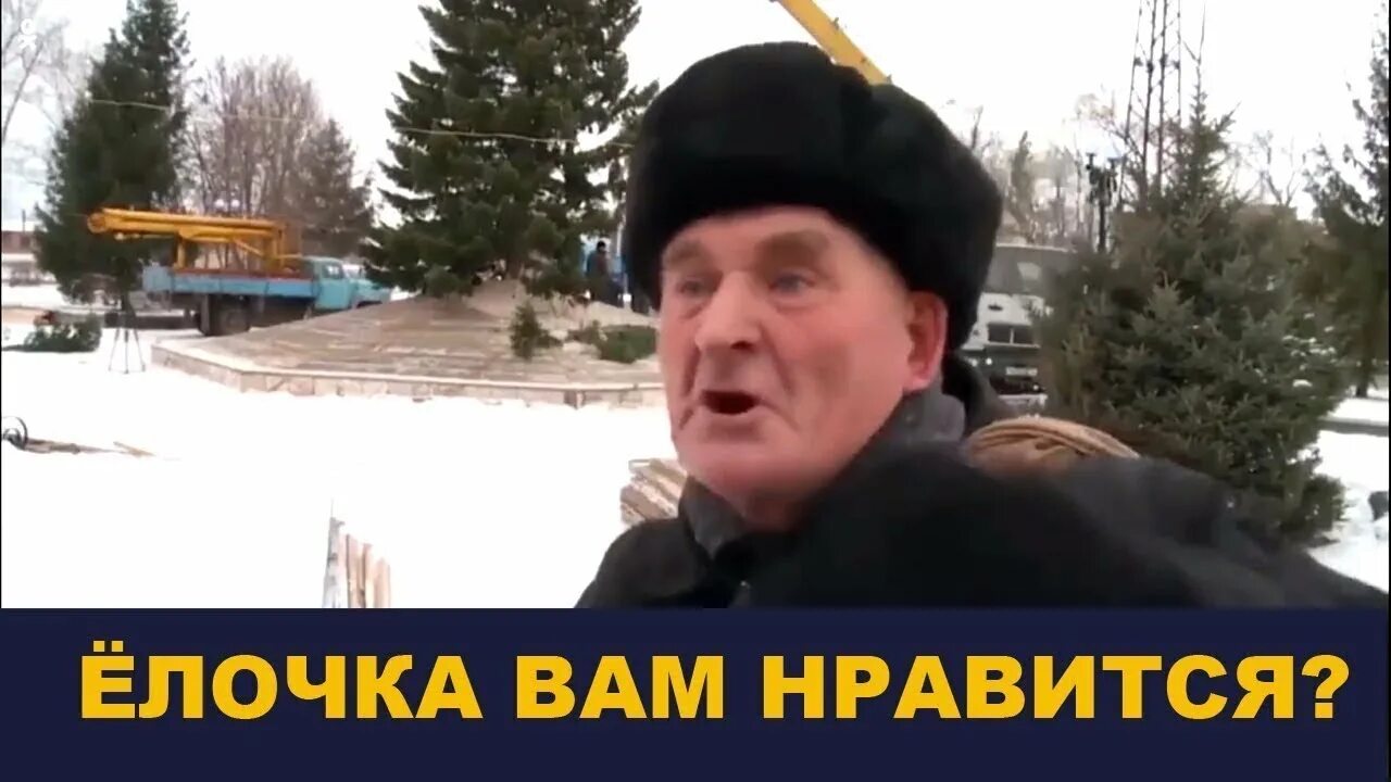 Елочка дед. Елочка мне нравится. Последний хрен без соли доедаем. Бийск елочка. Видео елочка вам нравится.