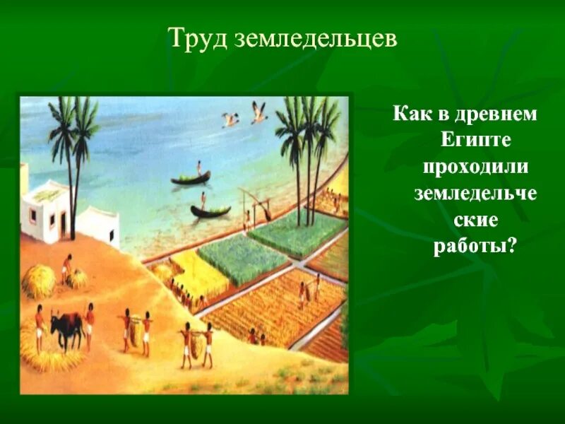 Рассказ земледельца в древнем египте 5. Жизнь земледельца в древнем египте 5. жизнь земледельца в древнем египте 5 класс. жизнь и труд земледельца в древнем египте. труд земледельцев в древнем египте.