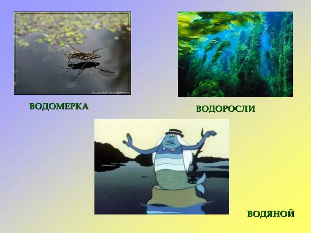 Фукус водная или наземно воздушная. Водомерка корень. Вода, водяной и Водный однокоренные слова. Водолаз однокоренные. Корень в словах вода водяной водолаз.