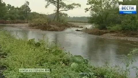 Погода троицкое ханкайский