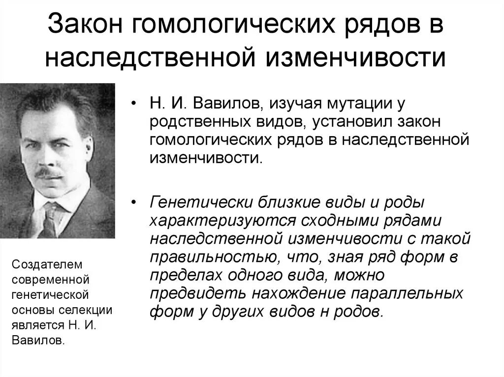 Общебиологическое значение закона гомологических рядов. Закон гомологических рядов изменчивости Вавилова. Закон Вавилова о гомологических рядах наследственной изменчивости. Закон н.в.Вавилова о гомологичных рядах наследственной изменчивости.. Закон гомологических рядов наследственной изменчивости н.и Вавилова.