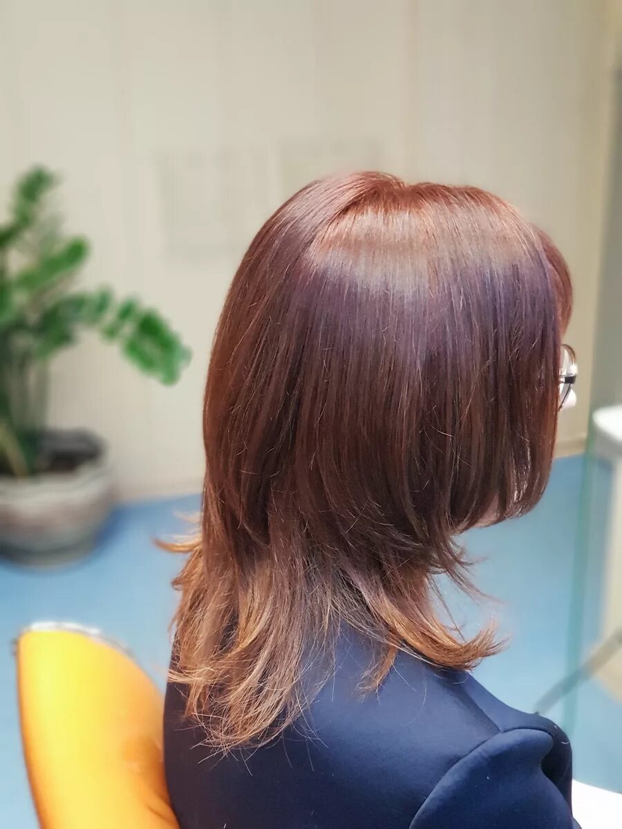 рапсодия стрижки волос