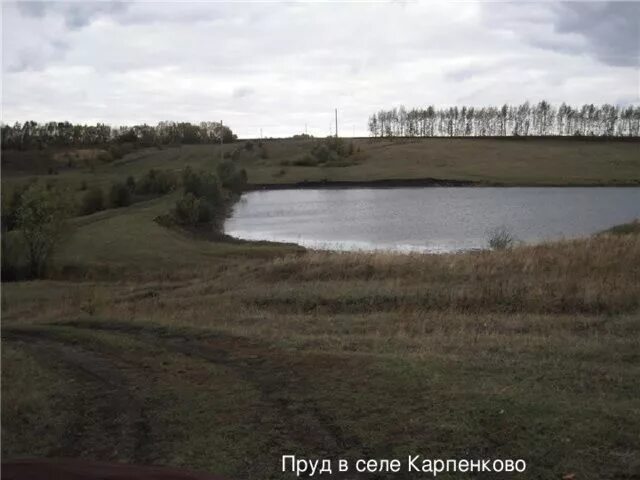 Погода крутец каменский. Крутец воронежская область. Погода крутец каменский. Хутор крутец. Воронежские деревни.