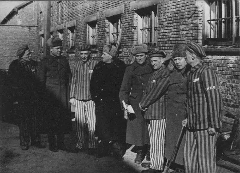 Освобождение узников освенцима 1945. Освобождение узников освенцима 1945. Освобождение лагеря аушвиц. 27 января 1945 освобождение узников концлагеря освенцим. Освобождение узников освенцима 1945.