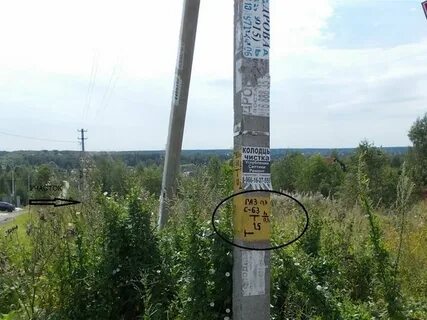 Павловское погода истринский