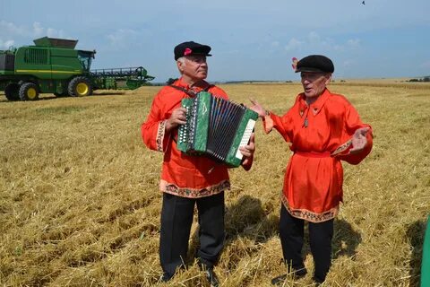 Гармонь поле